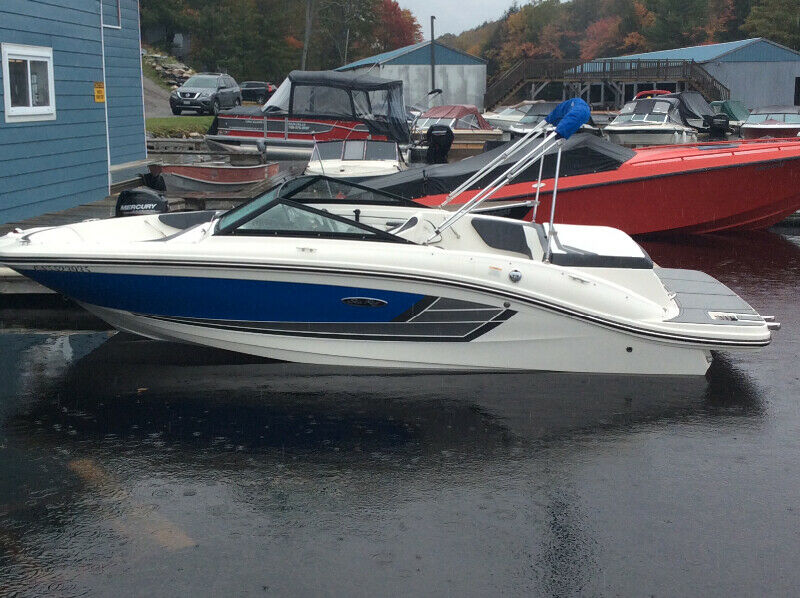 2016 Sea Ray 19 SPX, MINT